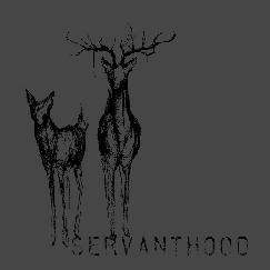 Servanthood : Demo 2007